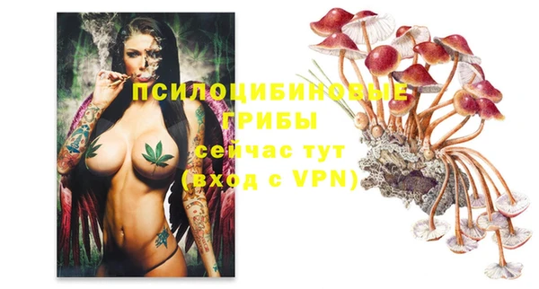 таблы Мегион