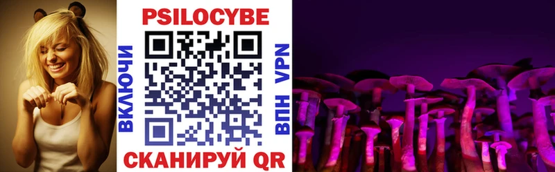 Купить  Новоузенск  Галлюциногенные грибы Magic Shrooms 